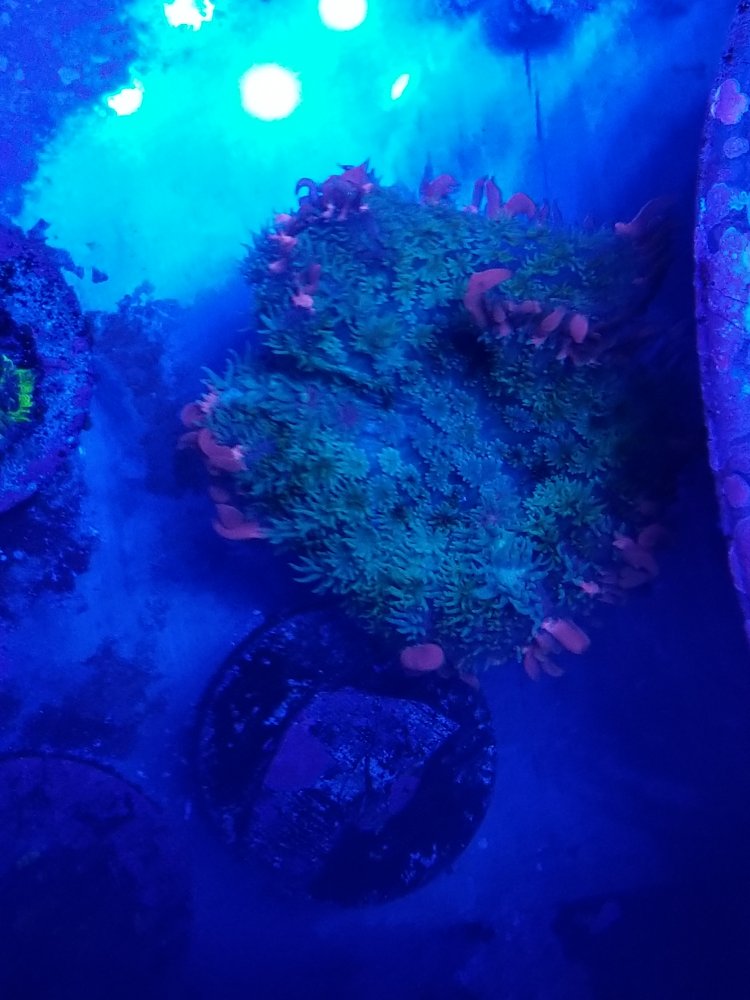 20230223_194142.jpg 20230223_194142.jpg