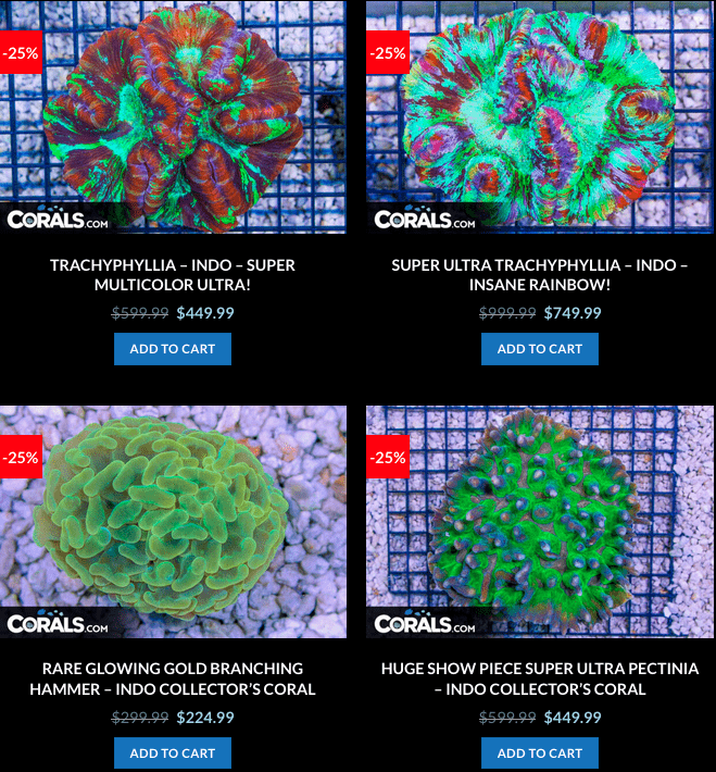 Screen Shot 2023-01-24 at 9.04.52 AM.png