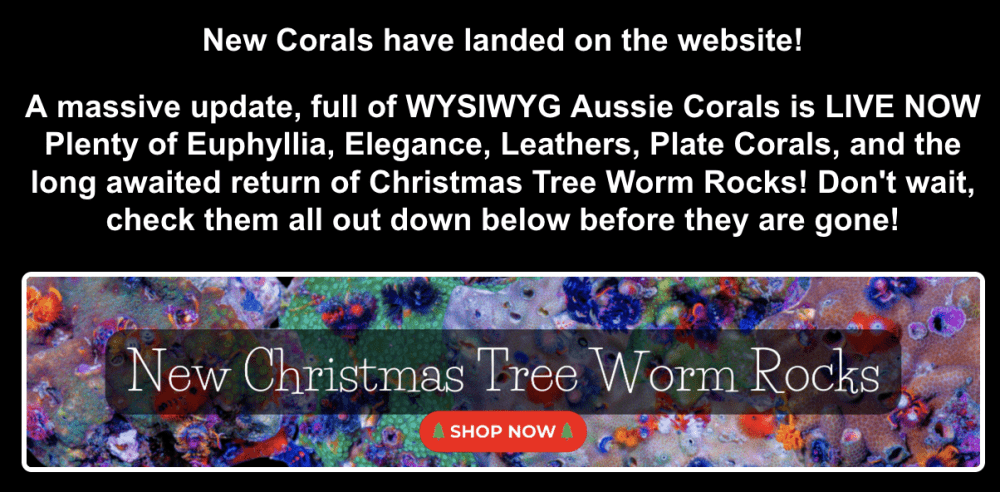 Screenshot 2026-01-13 at 1.32.57 PM.png