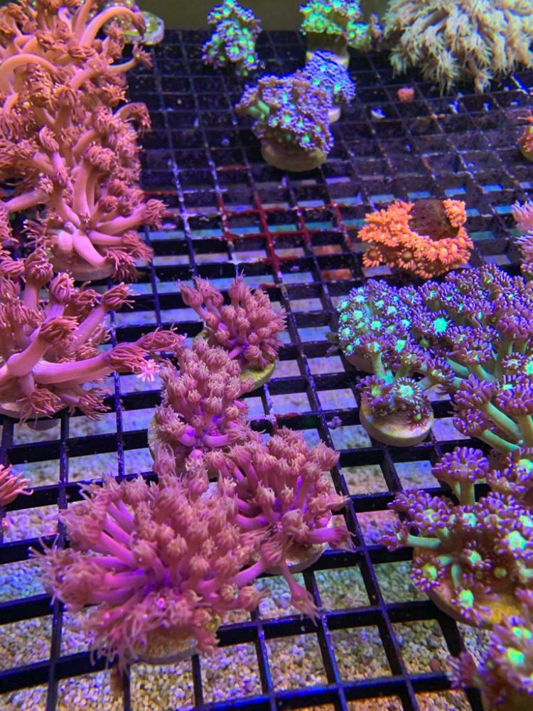 WhatsApp Image 2022-05-06 at 5.44.10 PM (6).jpeg