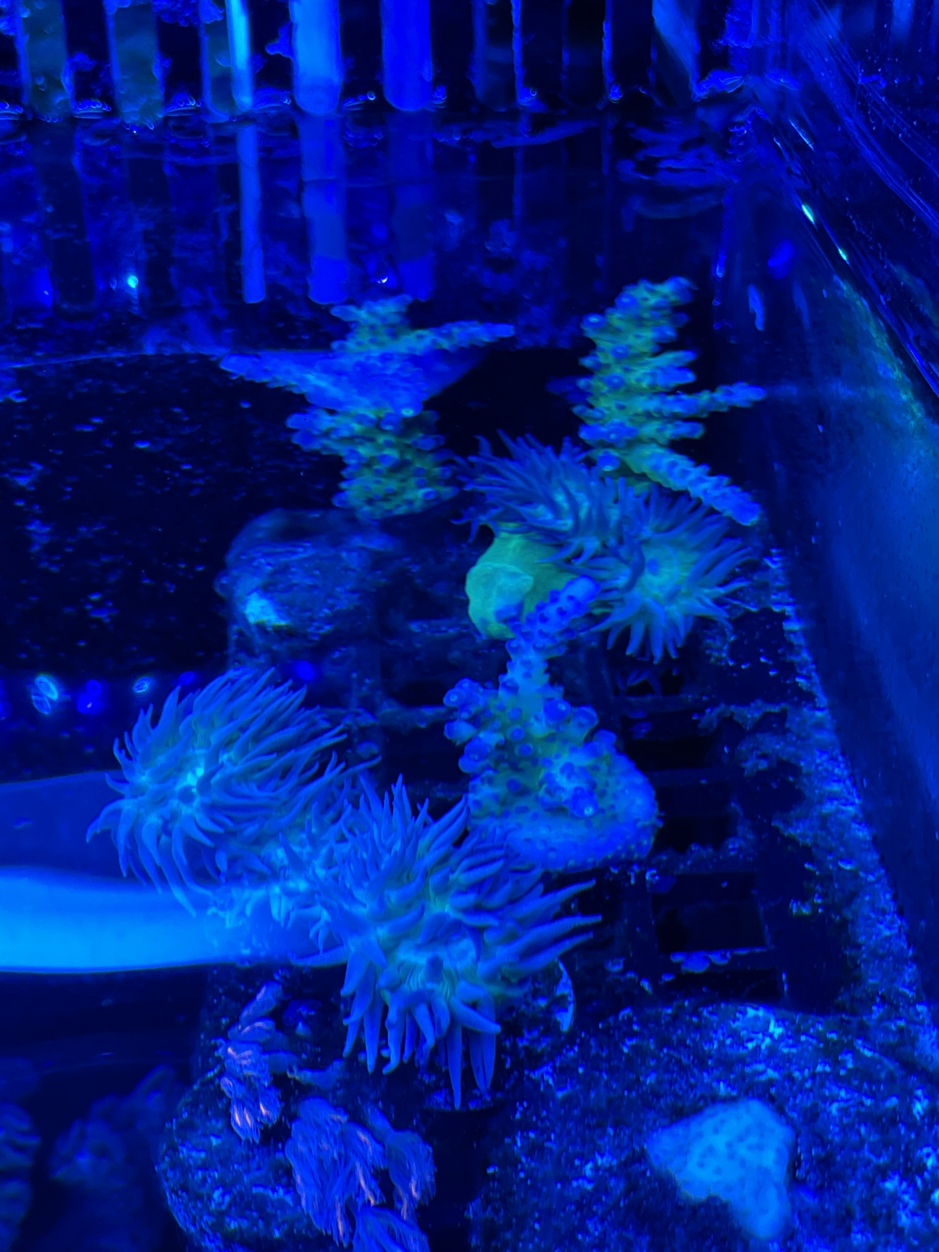 1B4F418C-6426-4B34-A706-29DC8AD949C8.jpeg