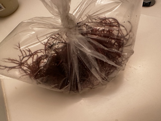 image0.jpeg