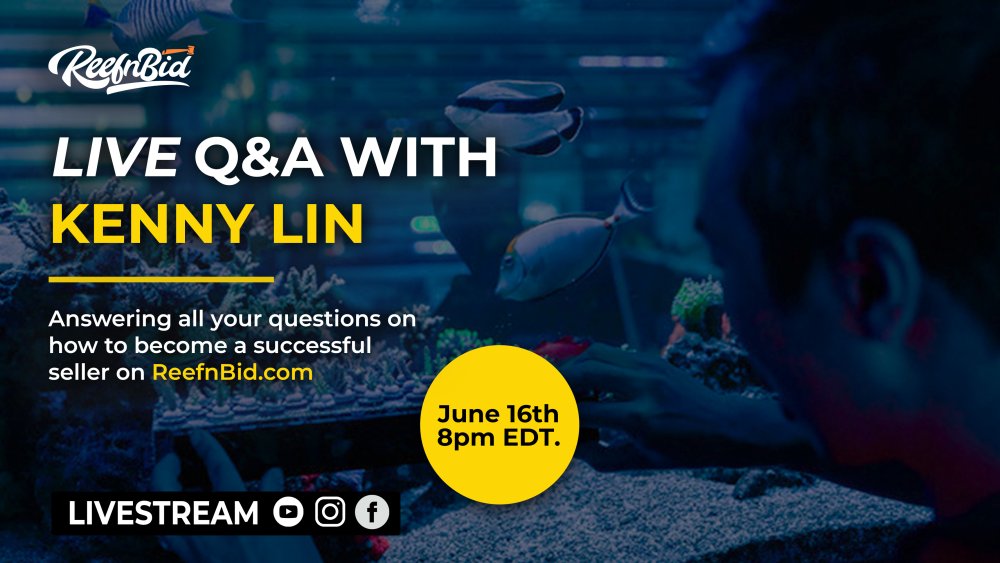 LIVe-Q&A.jpg