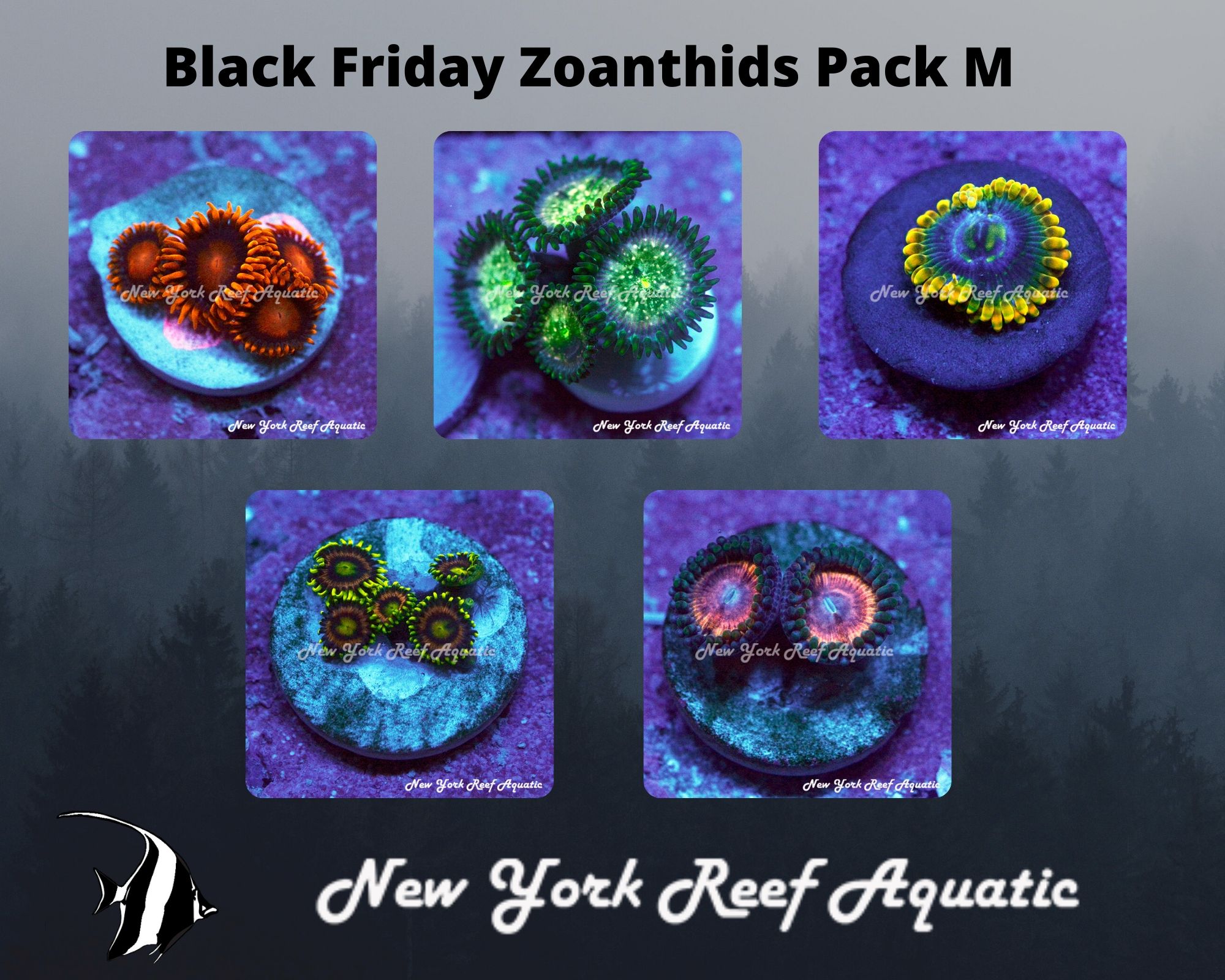 Zoanthids Pack M.jpg