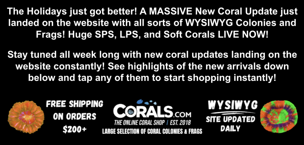 Screenshot 2025-12-22 at 5.09.59 PM.png