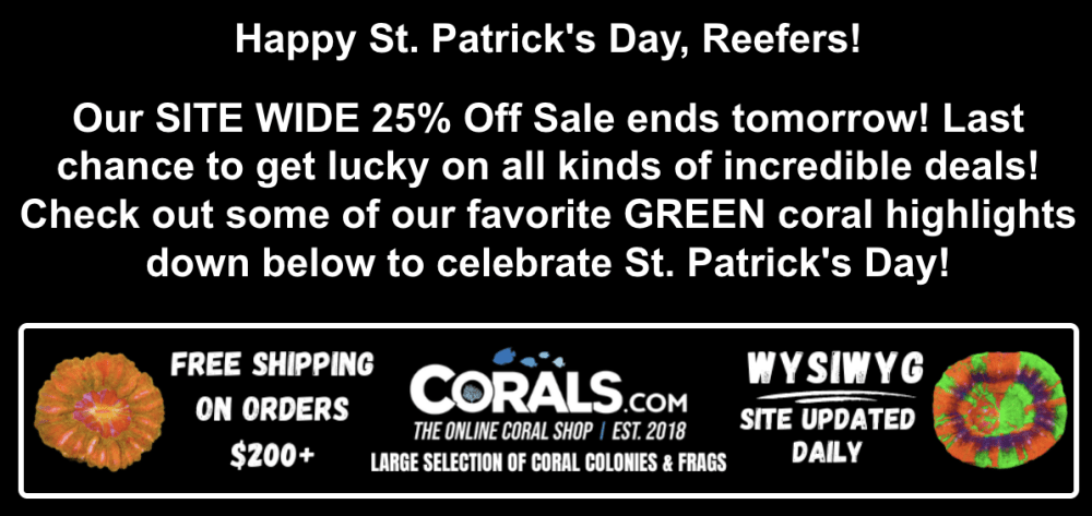 Screenshot 2026-03-17 at 2.14.08 PM.png