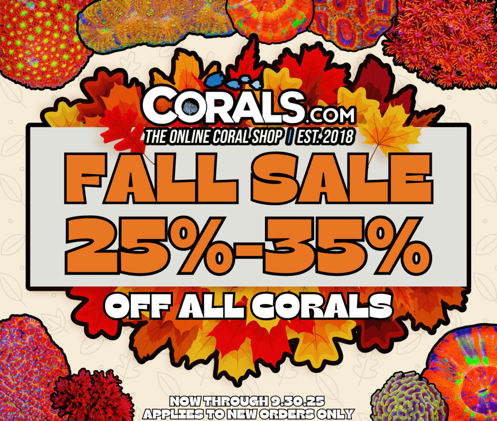 Fall Sale 2025.png