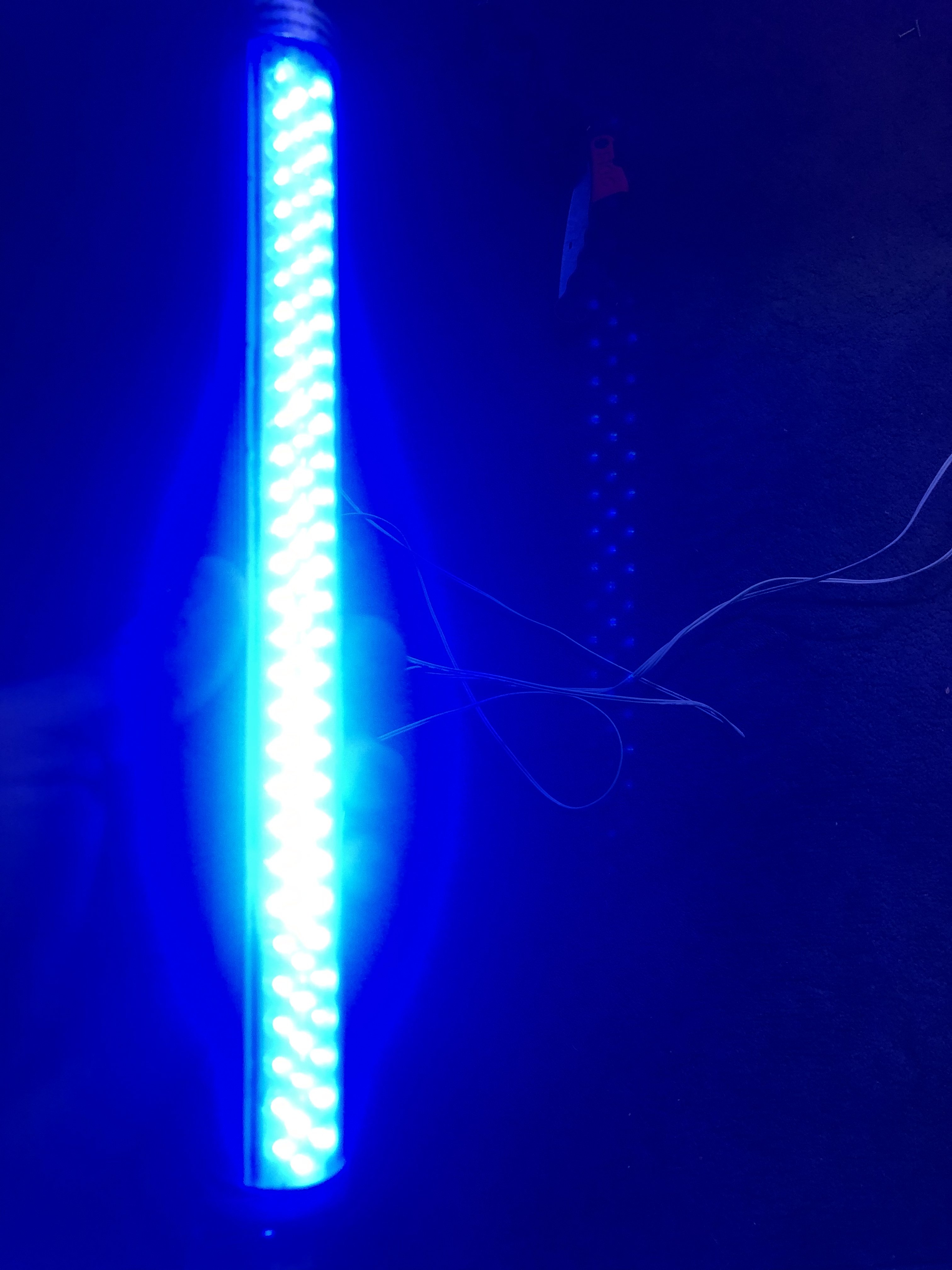 5BDDC484-006D-4247-93EA-E5E83AF47630.jpeg