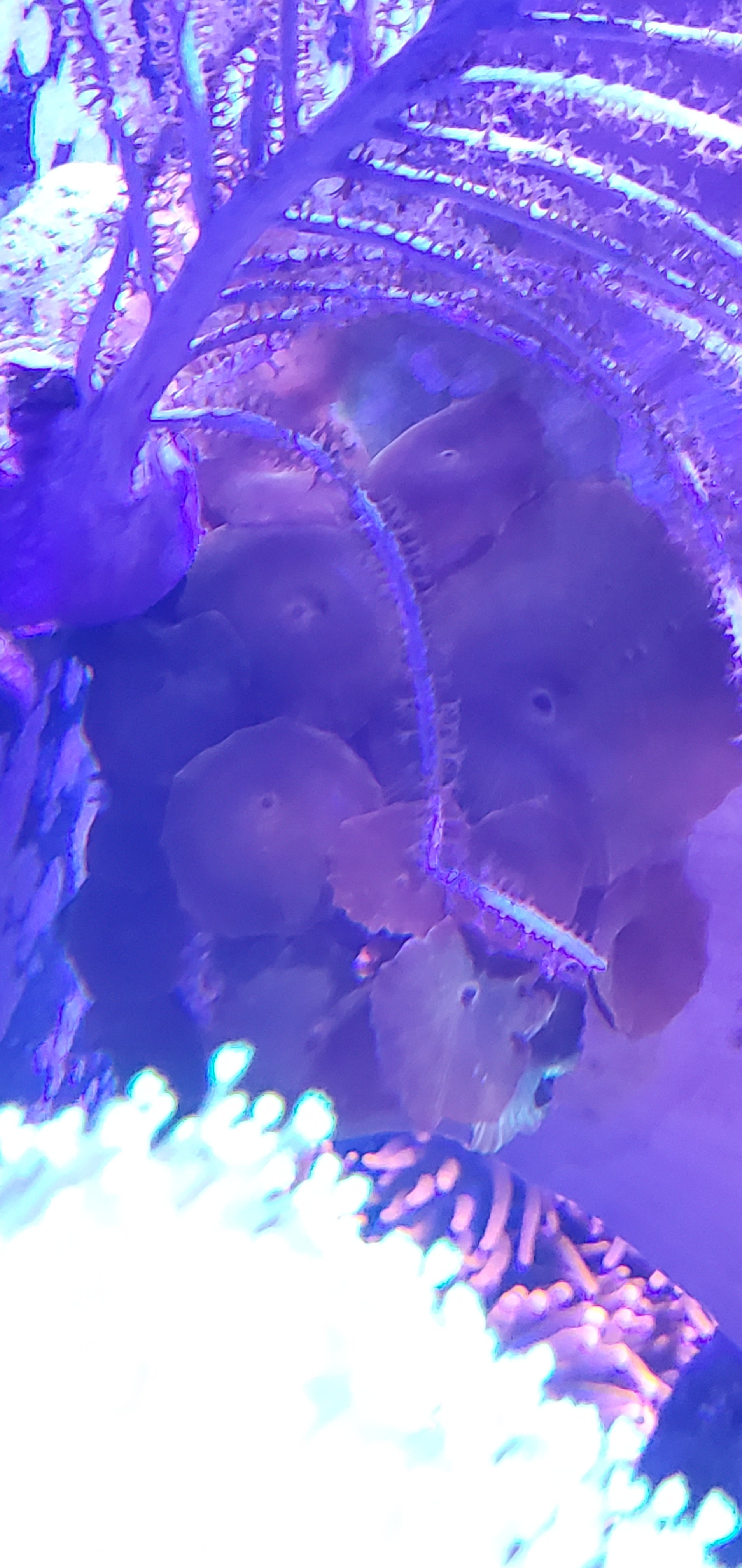20210404_202031.jpg