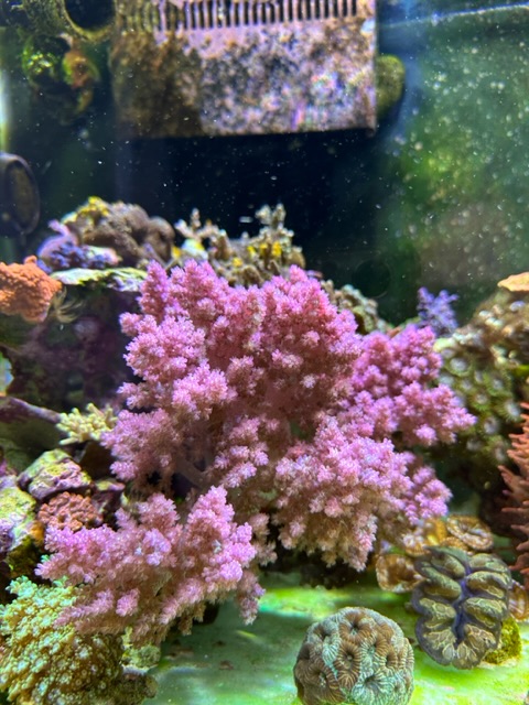 IMG_3506.jpeg IMG_3506.jpeg