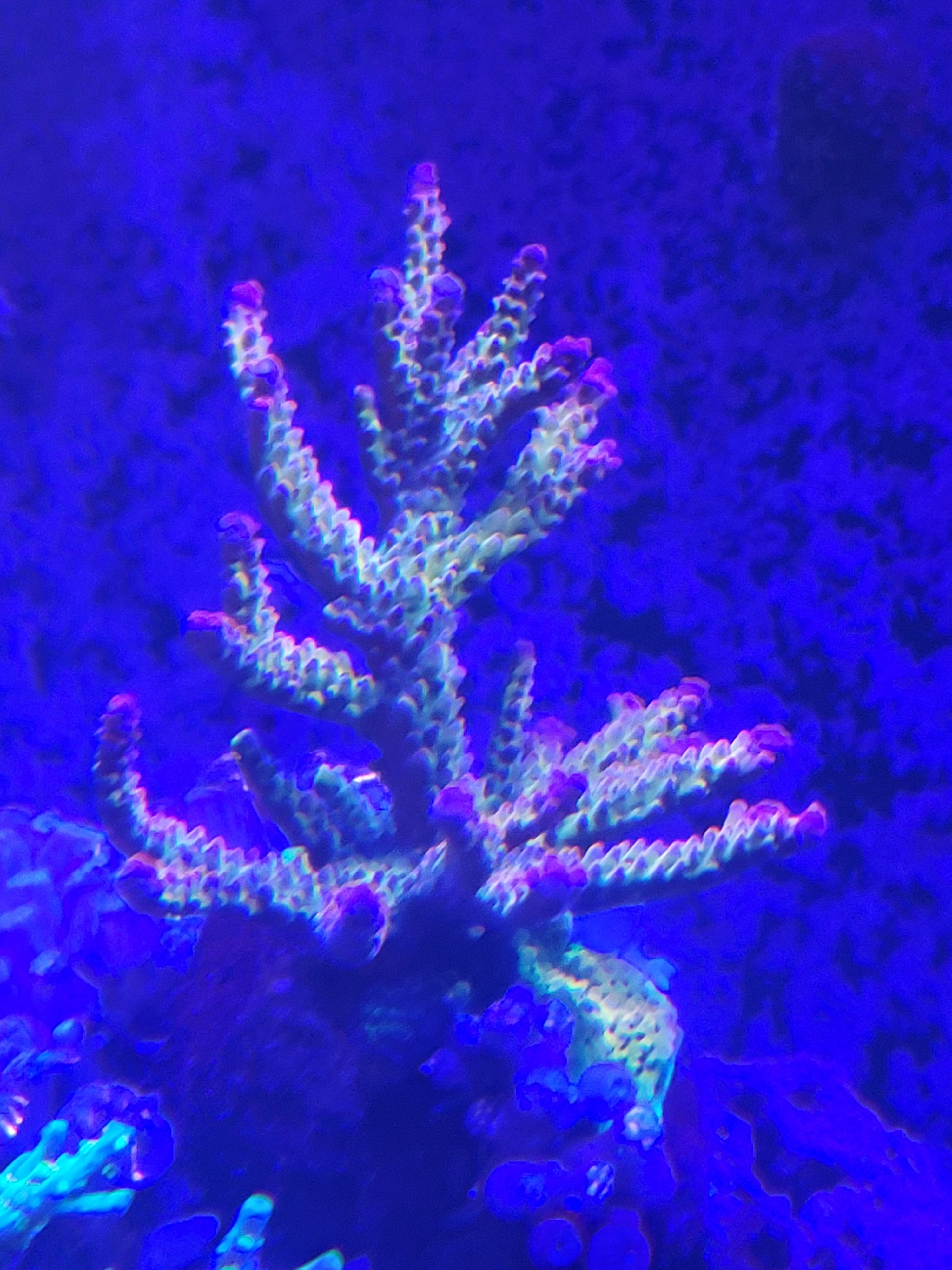20210409_204302.jpg