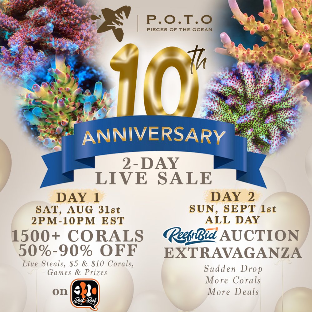 POTO10 (1080).jpg