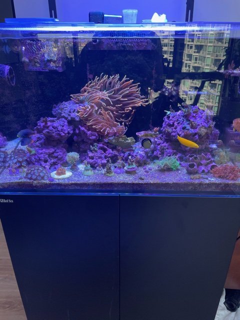 image2 (2).jpeg