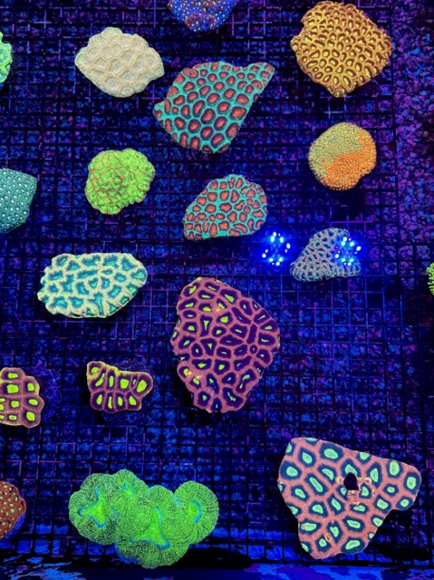 IMG_9630 Medium.jpeg