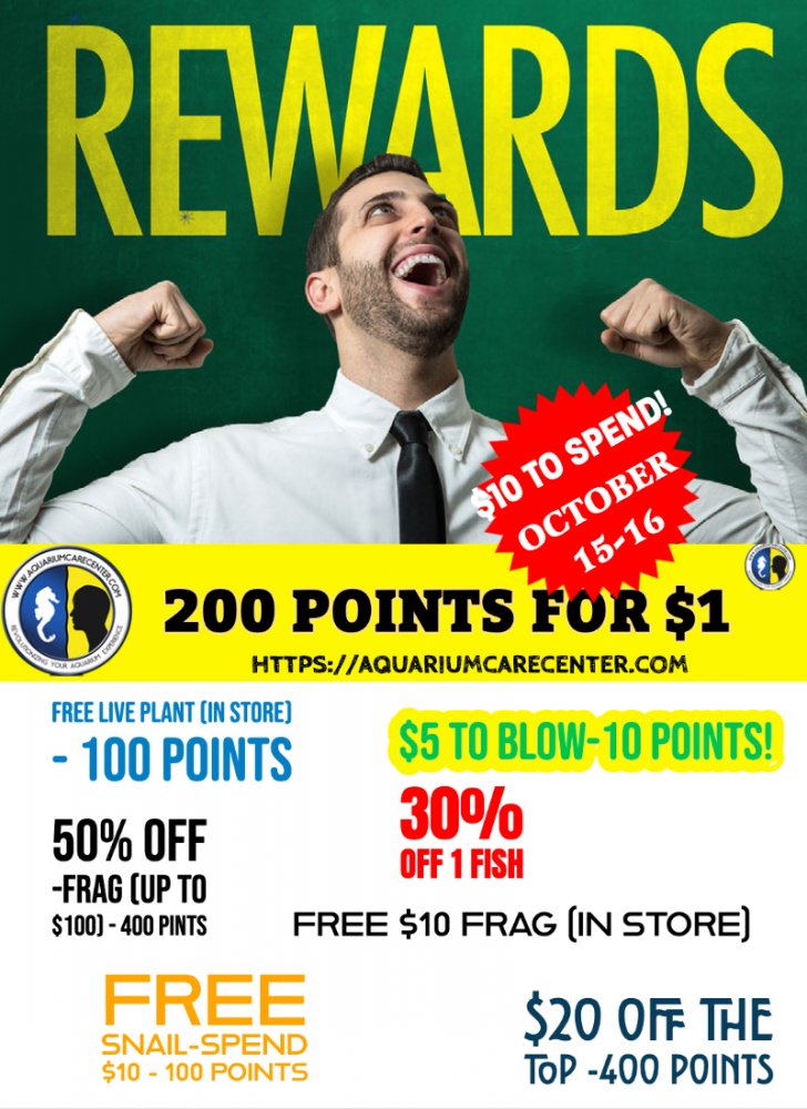 REWARDS TWO.jpeg