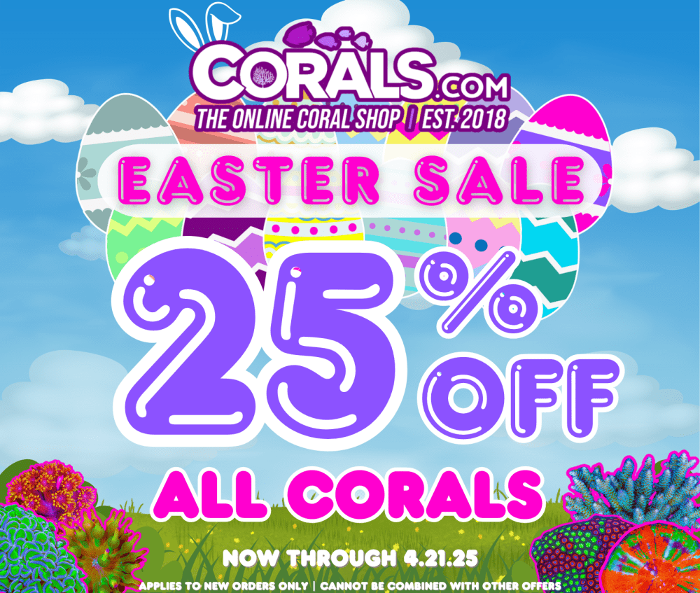Easter Sale 2025(1).png