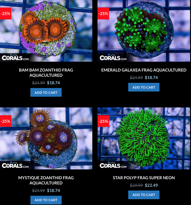 Screen Shot 2023-01-17 at 8.58.43 AM.png