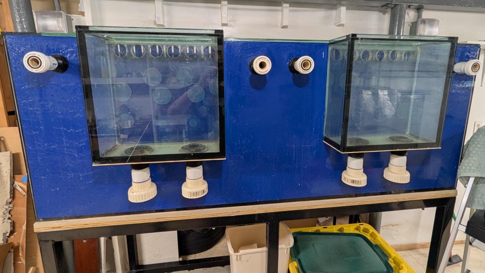 fishtank-b.jpg