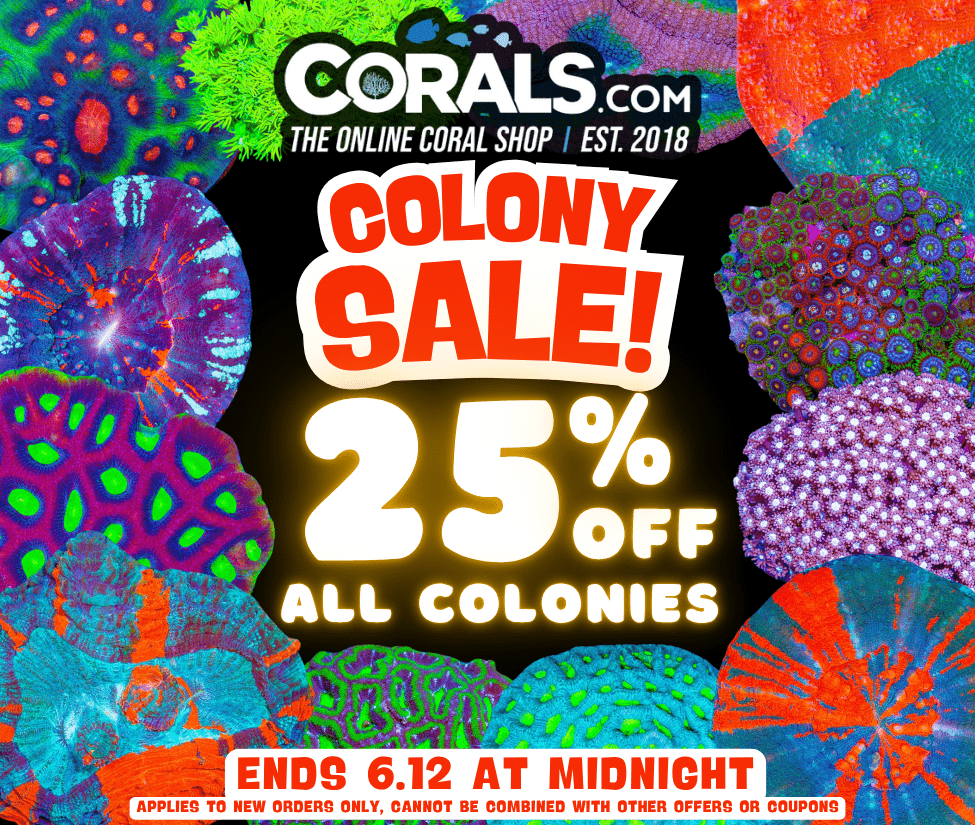 colony Sale.png