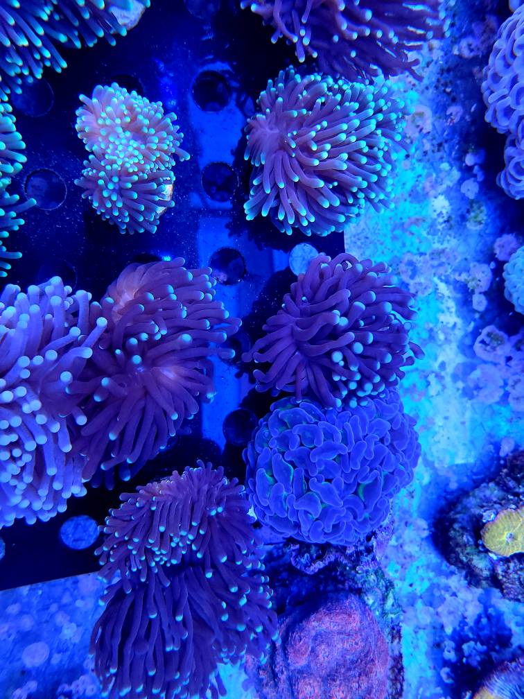 20191002_114003.jpg