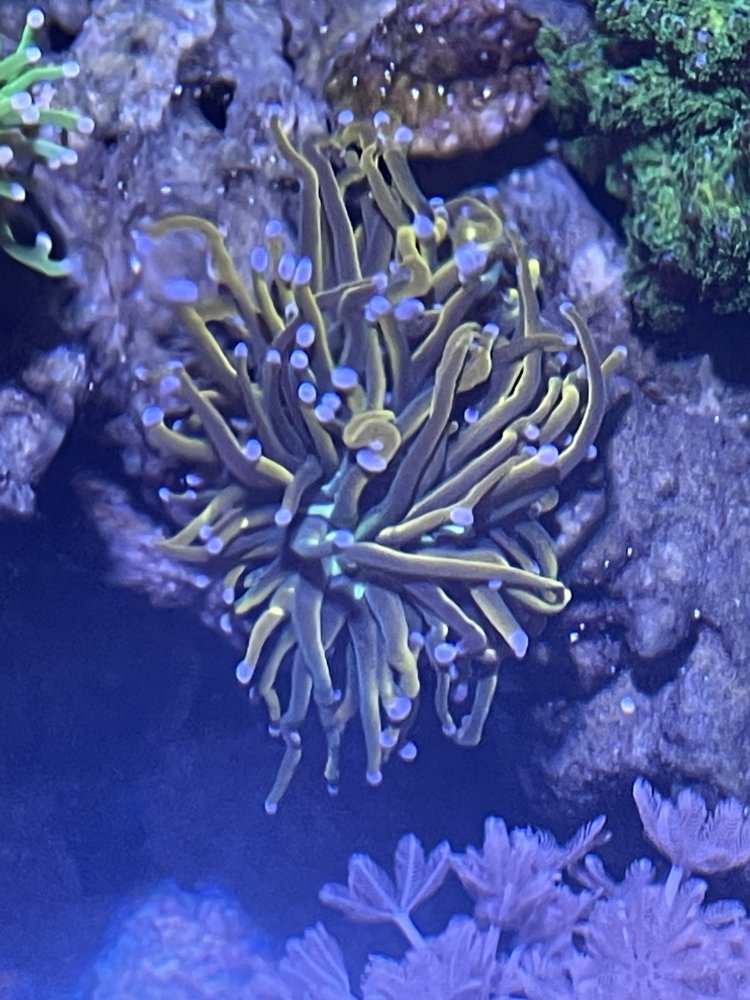 CBE14E04-000E-4F65-B96C-F76954C5248C.jpeg