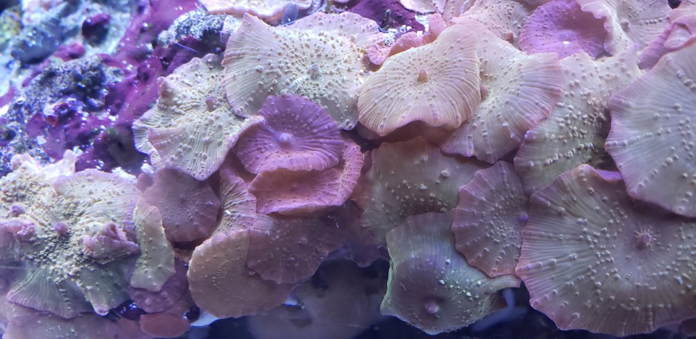 20220619_171819.jpg 20220619_171819.jpg