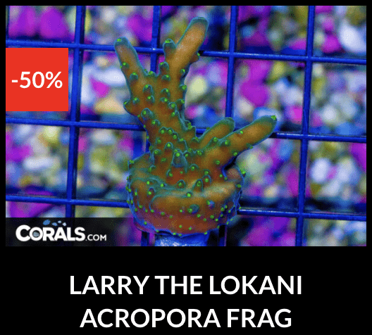 Screenshot 2026-04-10 at 10.40.54 PM.png