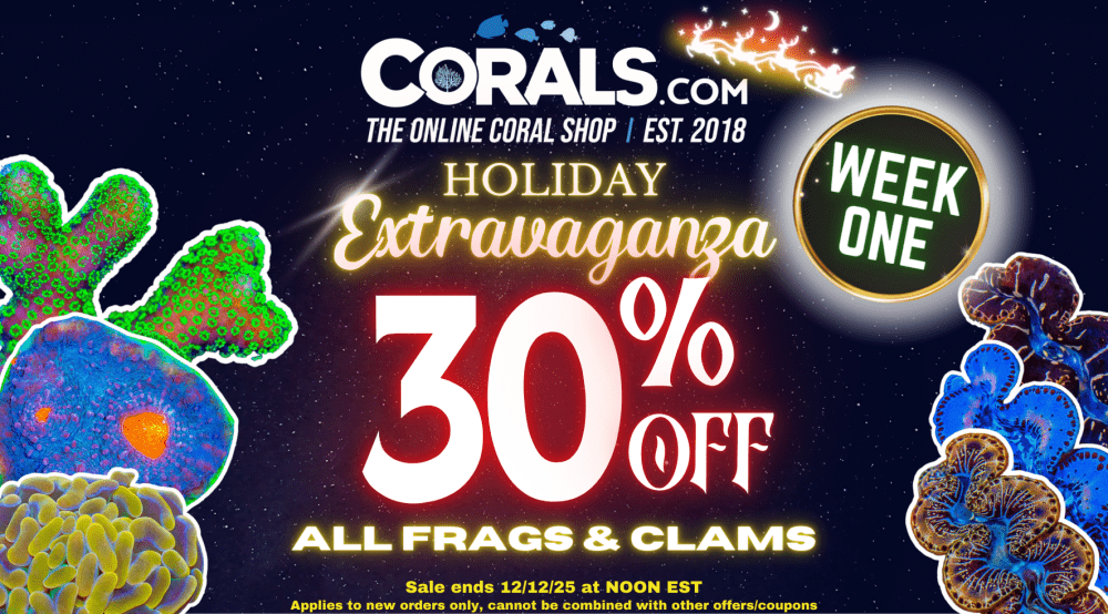 holiday sale week 1 (1290 x 713 px).png