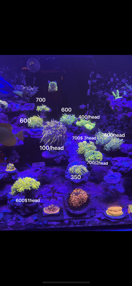 4C985E5A-8FC0-402E-BA12-9706EE880103.png