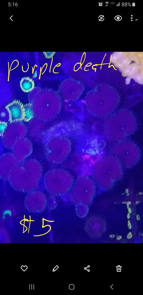 Screenshot_20230918-171639_Gallery.jpg