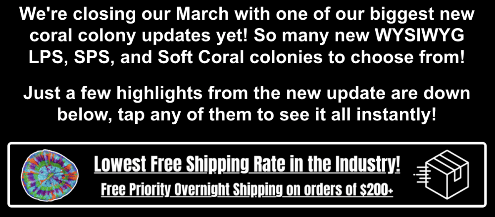 Screenshot 2026-03-31 at 12.03.13 PM.png