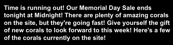 Screen Shot 2023-05-30 at 8.33.04 AM.png