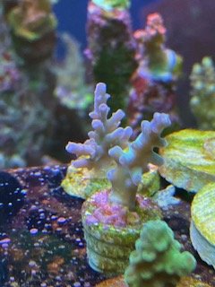 IMG_0451.jpg IMG_0451.jpg