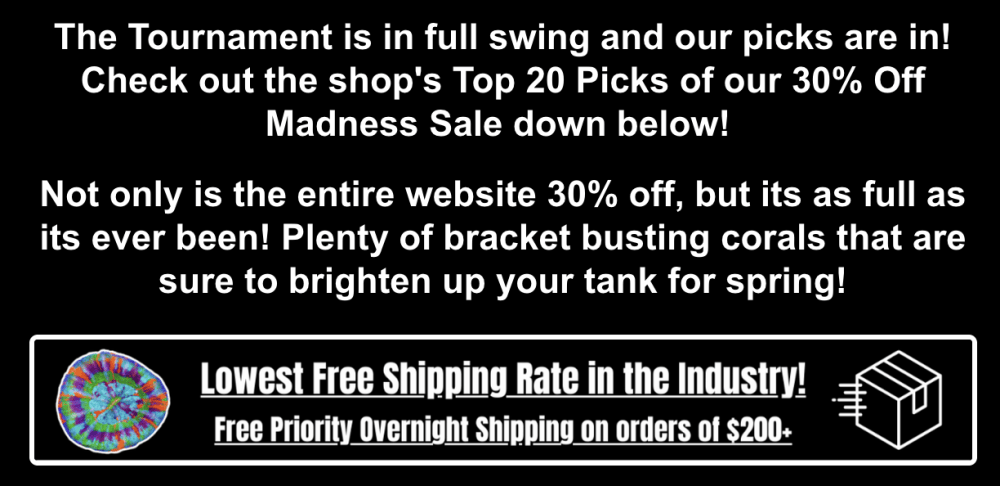 Screenshot 2026-03-20 at 10.53.10 AM.png