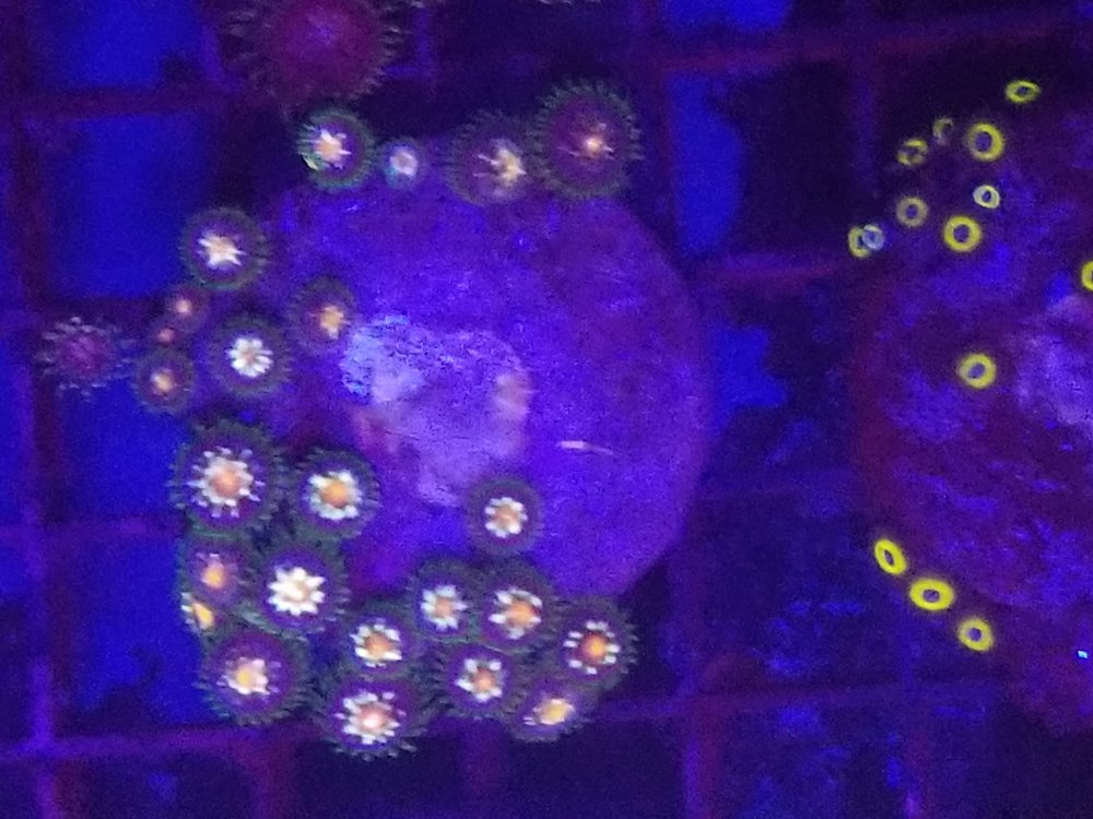 20230909_140942.jpg