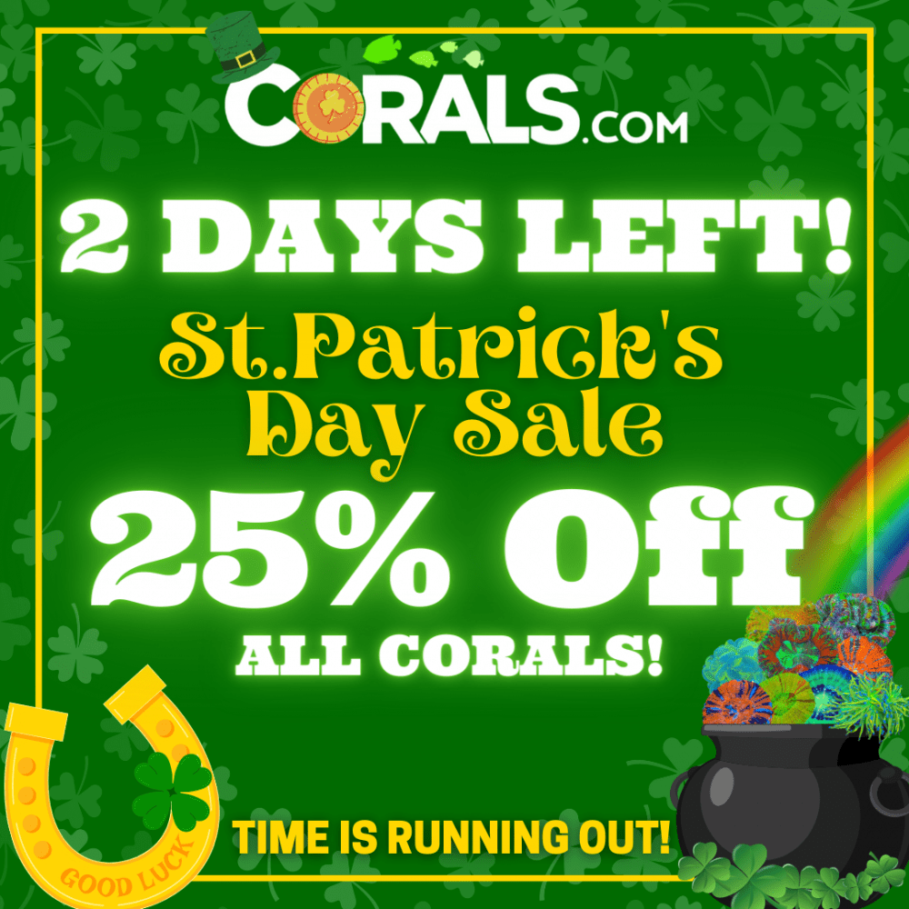 2 days left St. Patrick's 2023(1).png