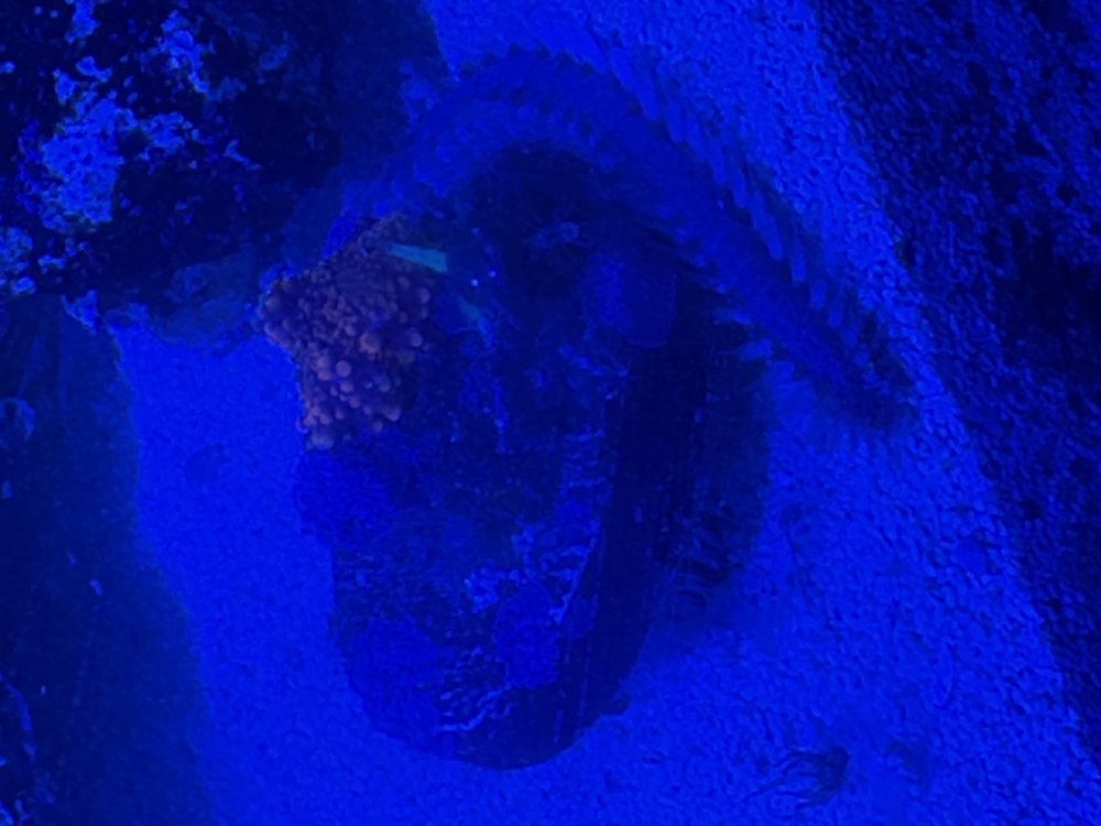 worm2.jpg