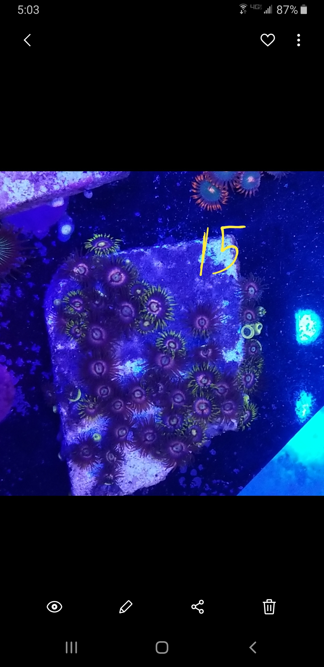 Screenshot_20210224-170338_Gallery.jpg