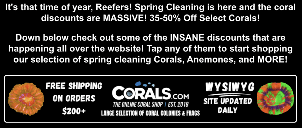 Screenshot 2026-04-09 at 7.04.17 PM.png