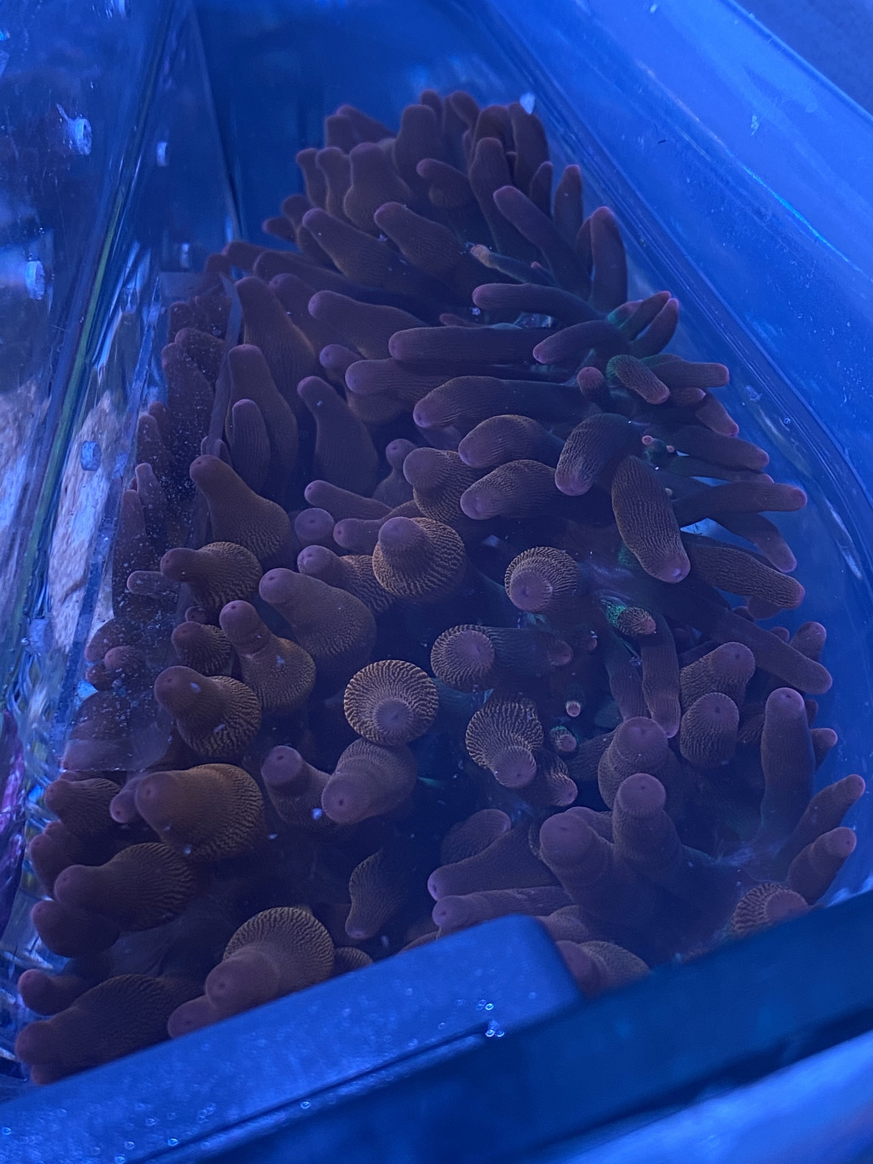 3FDE78CE-BAC9-457F-ACA6-FCC04EB02EF6.jpeg 3FDE78CE-BAC9-457F-ACA6-FCC04EB02EF6.jpeg