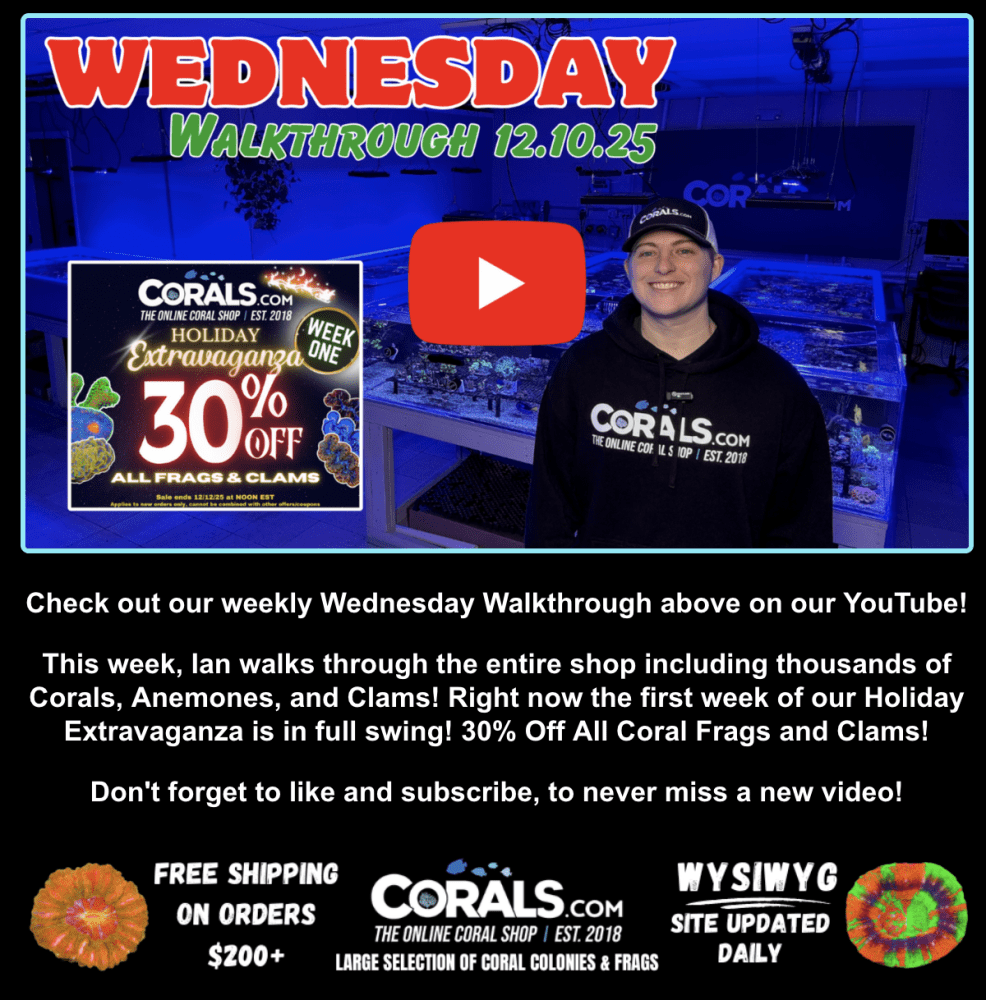 Screenshot 2025-12-10 at 1.45.00 PM.png