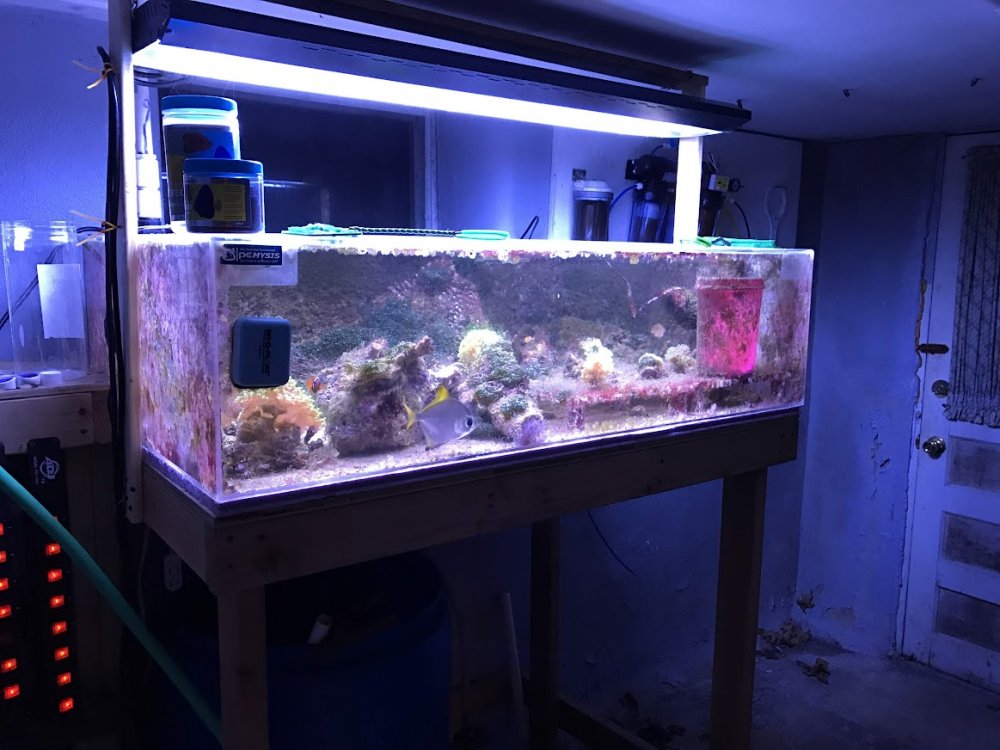 Frag Tank 1.JPG