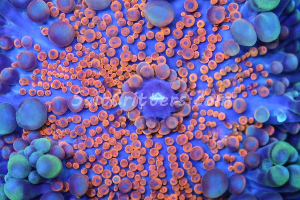 98c7f667-1f0e-4957-b196-ac2fe1a04448.jpg 98c7f667-1f0e-4957-b196-ac2fe1a04448.jpg