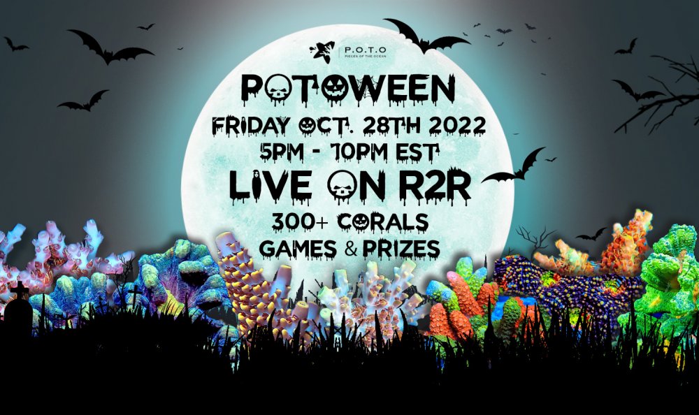 potoween2022.jpg potoween2022.jpg
