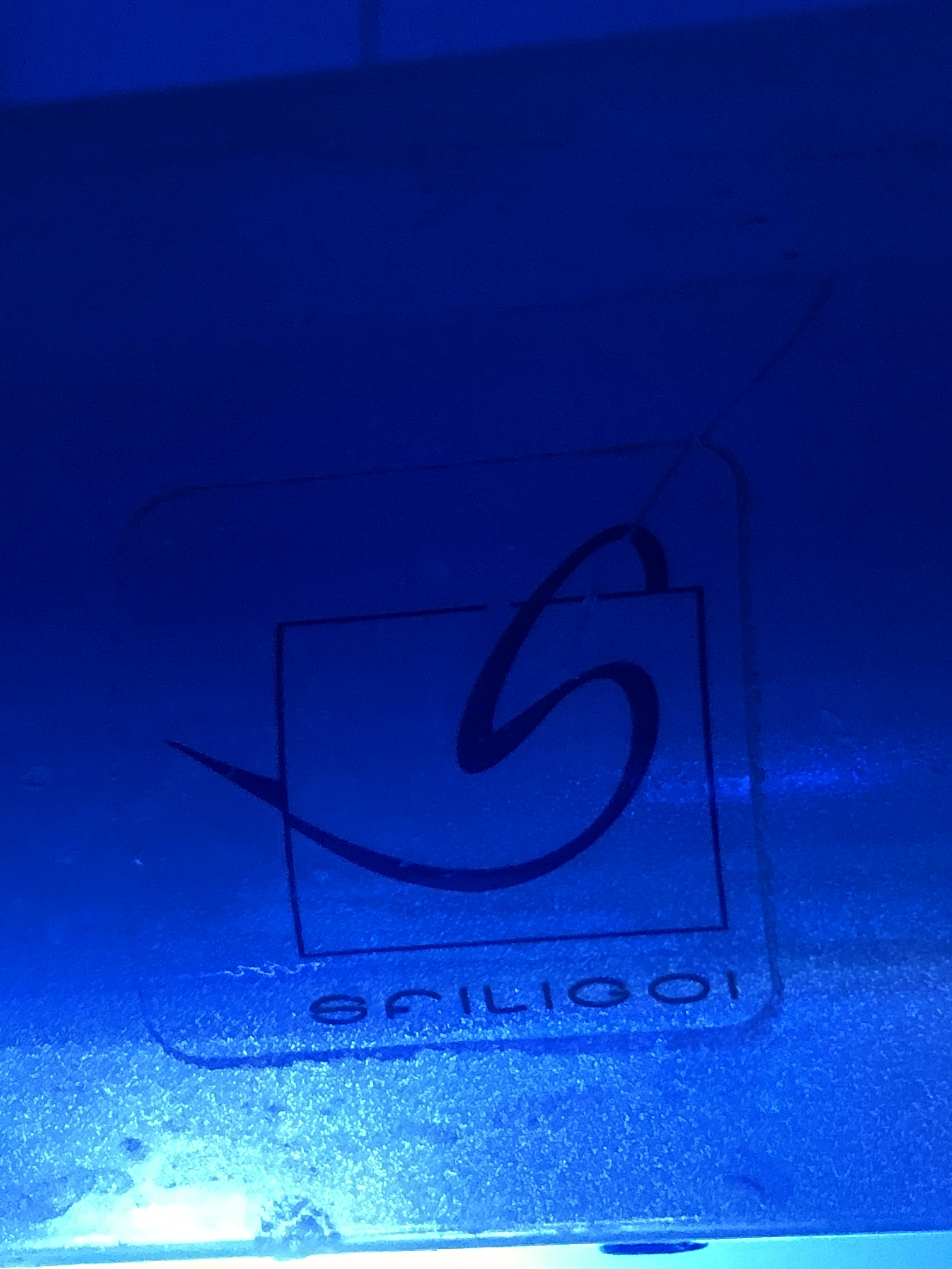 57BD22AF-A7E0-4F3E-9419-72EE5A4D1770.jpeg