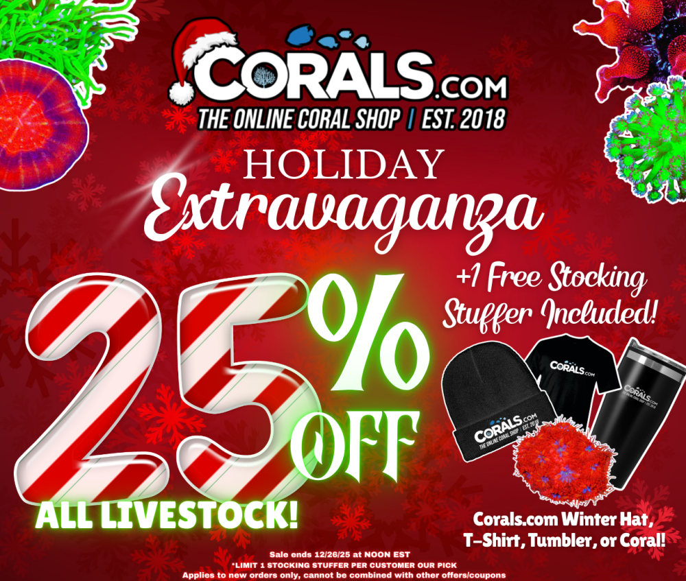 Holiday Sale Week 3.png