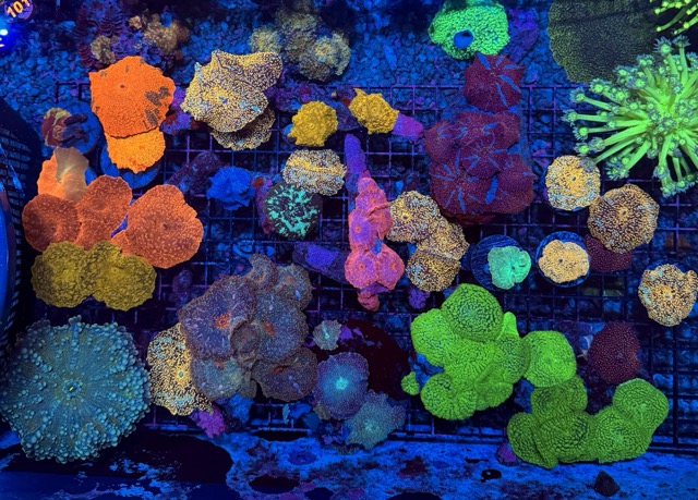 IMG_9652 Medium.jpeg