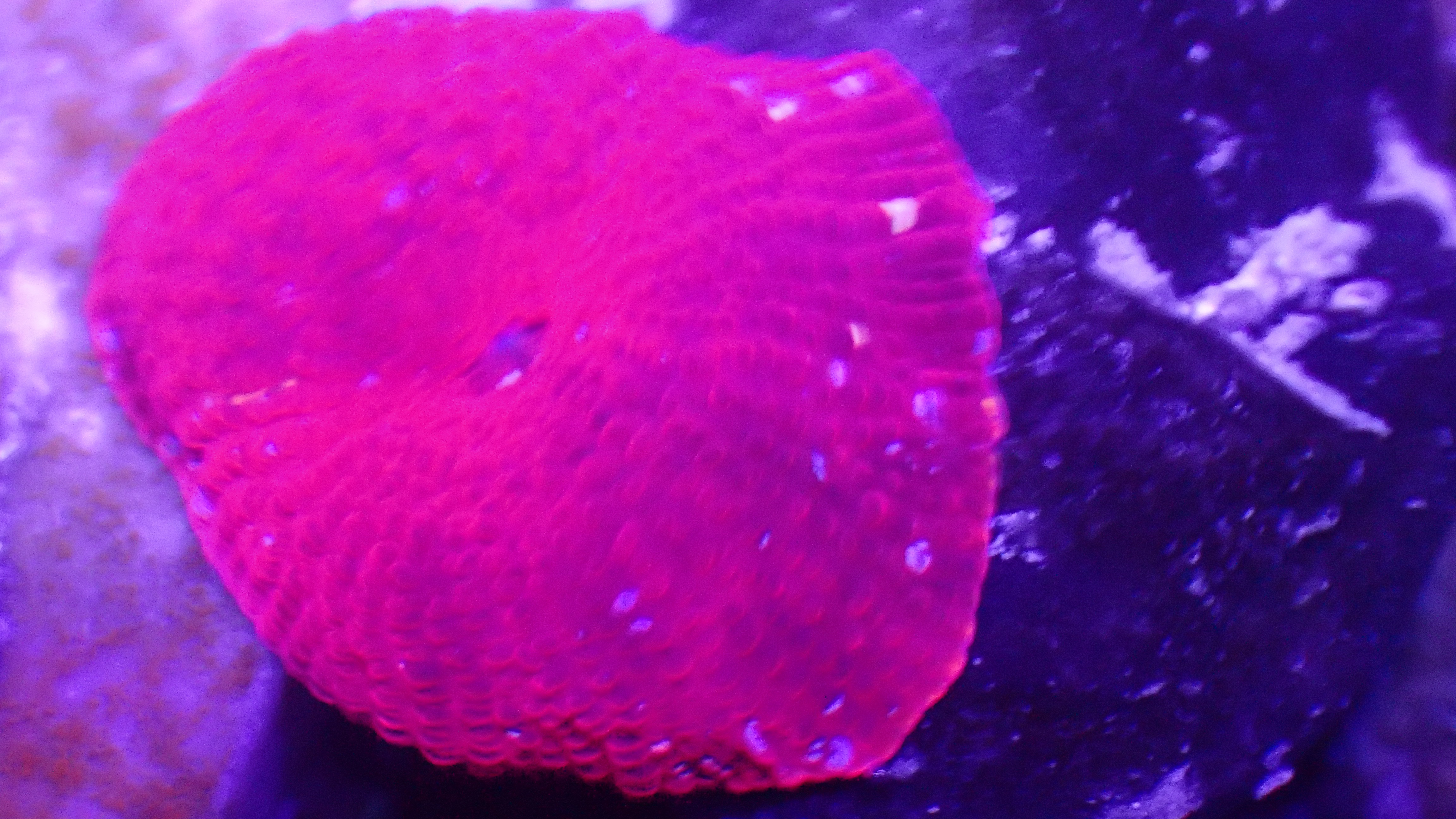 OI000031.JPG