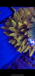 C0CBDE1D-C535-4109-90D0-B47353EC67F4.jpg