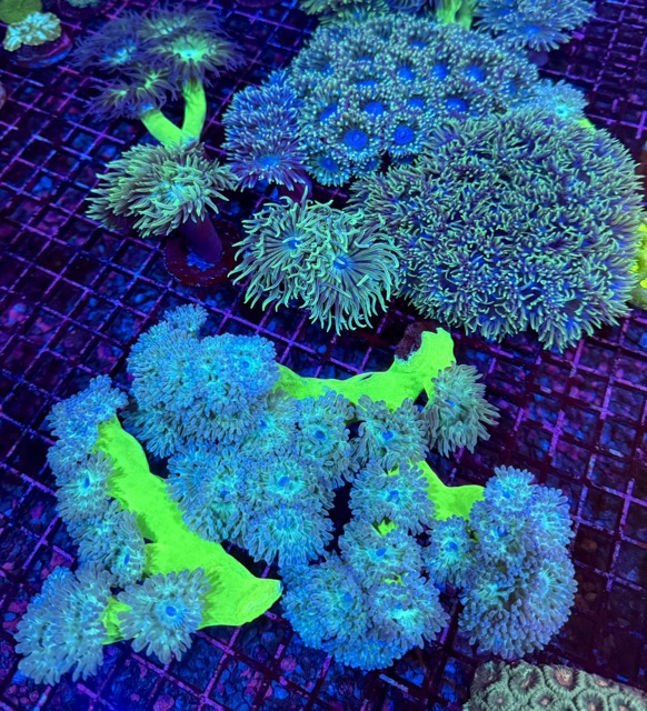 IMG_9628 Medium.jpeg